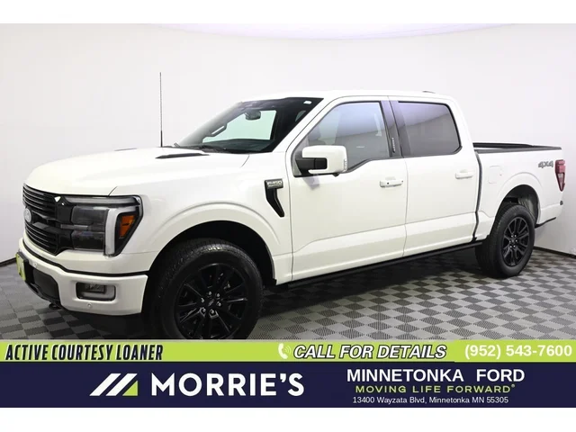 Nuevos FORD F-150 à Estados chez autogozo