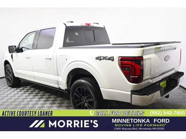Nuevos FORD F-150 à Estados chez autogozo