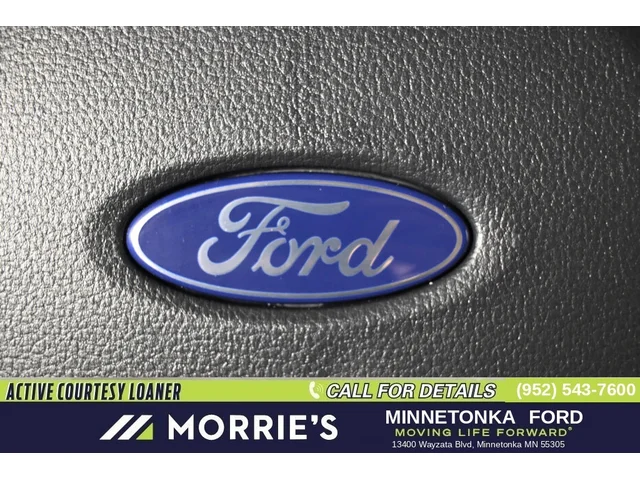 Nuevos FORD F-150 à Estados chez autogozo