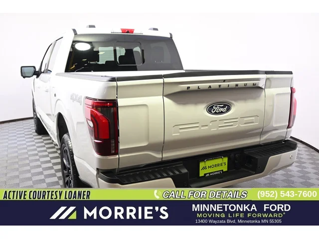 Nuevos FORD F-150 à Estados chez autogozo