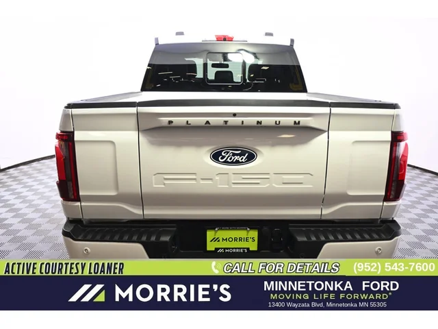 Nuevos FORD F-150 à Estados chez autogozo