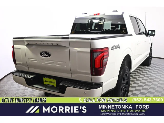Nuevos FORD F-150 à Estados chez autogozo