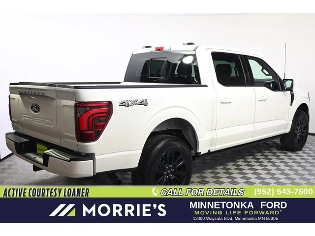 Nuevos FORD F-150 à Estados chez autogozo