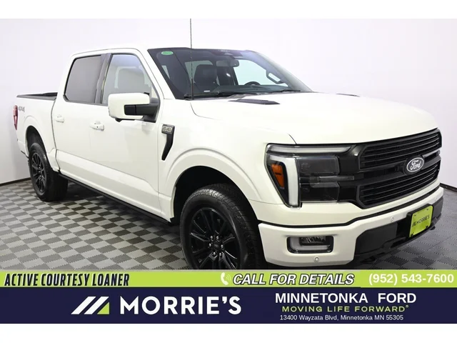 Nuevos FORD F-150 à Estados chez autogozo