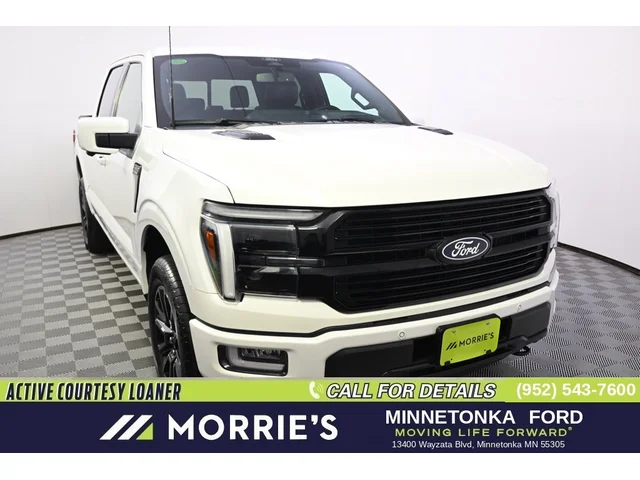 Nuevos FORD F-150 à Estados chez autogozo