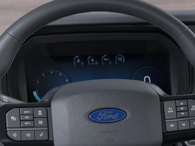 Nuevos FORD F-150 à Estados chez autogozo