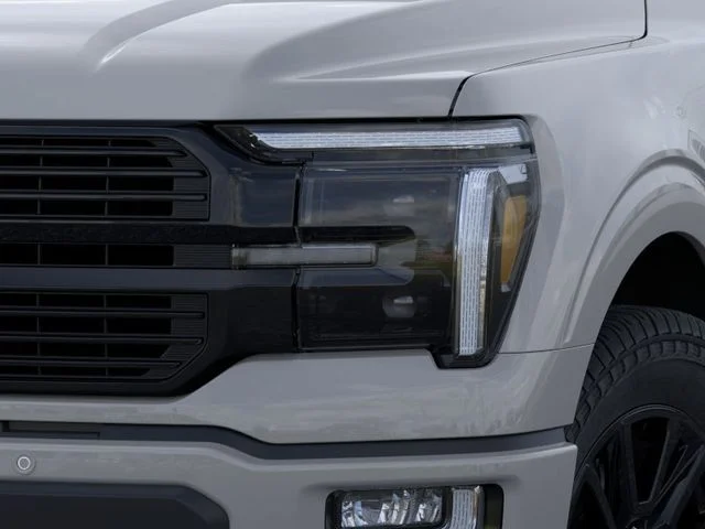 Nuevos FORD F-150 à Estados chez autogozo