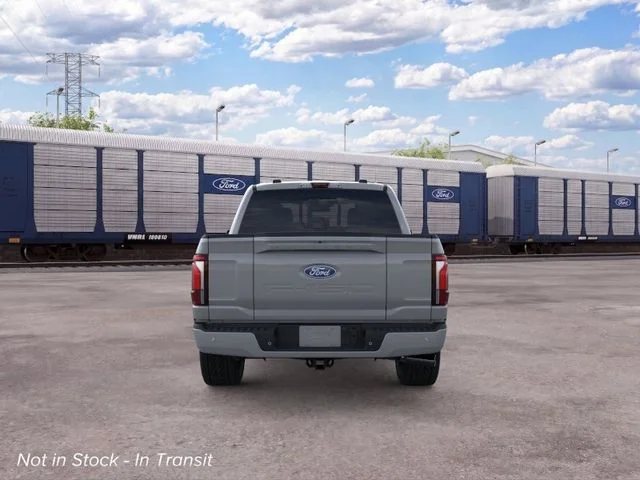 Nuevos FORD F-150 à Estados chez autogozo