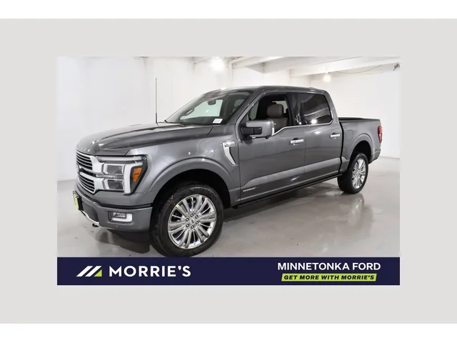 Nuevos FORD F-150 à Estados chez autogozo