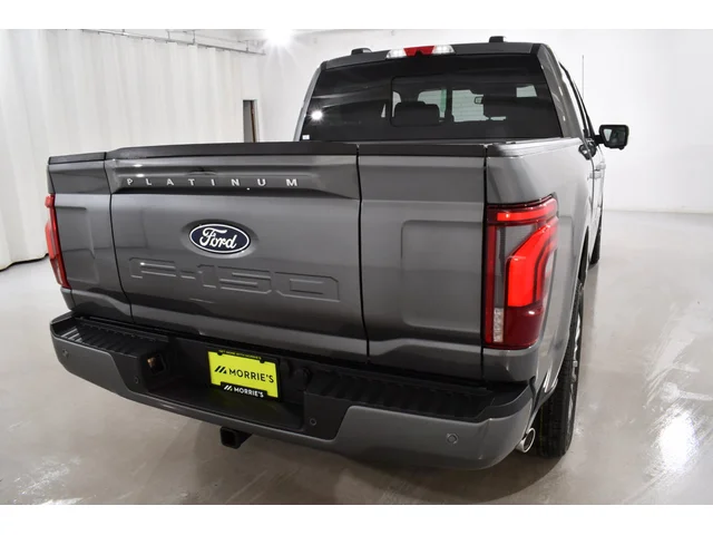 Nuevos FORD F-150 à Estados chez autogozo