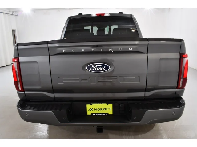 Nuevos FORD F-150 à Estados chez autogozo