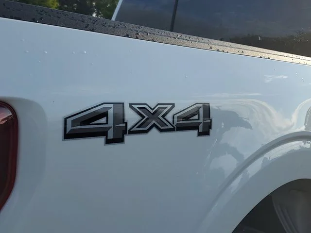 SEMINUEVOS FORD F-150 a Estados en autogozo