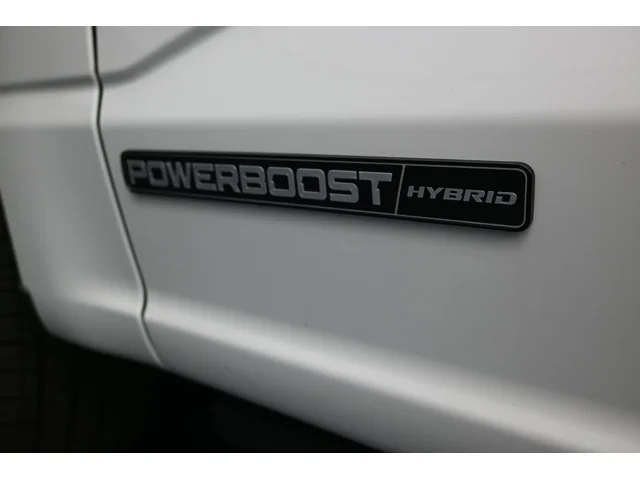 Nuevos FORD F-150 à Estados chez autogozo