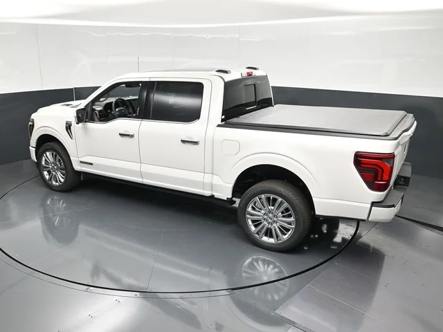 Nuevos FORD F-150 à Estados chez autogozo