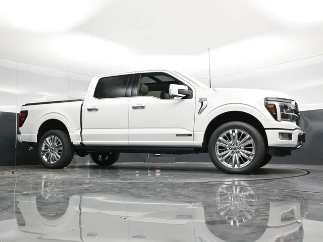 Nuevos FORD F-150 à Estados chez autogozo