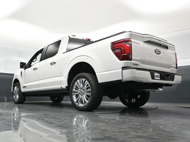 Nuevos FORD F-150 à Estados chez autogozo