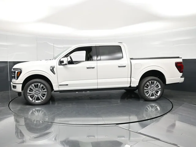 Nuevos FORD F-150 à Estados chez autogozo
