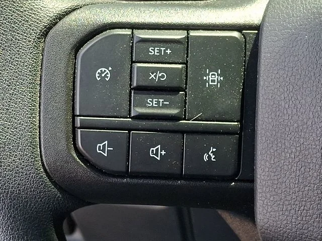 SEMINUEVOS FORD F-150 a Estados en autogozo