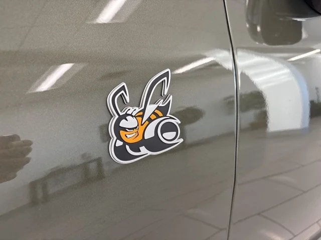 Nuevos DODGE CHARGER à Estados chez autogozo