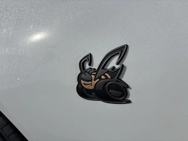 Nuevos DODGE CHARGER à Estados chez autogozo