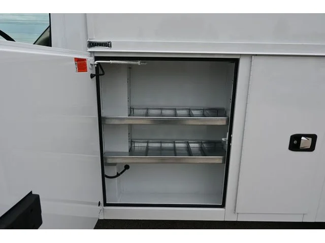 Nuevos RAM PROMASTER 3500 CUTAWAY à Estados chez autogozo