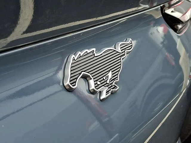 SEMINUEVOS FORD Mustang Mach-E a Estados en autogozo
