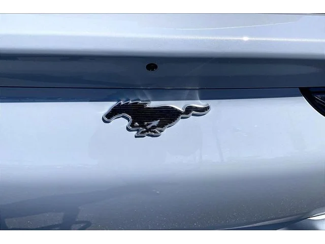 Nuevos FORD MUSTANG MACH-E à Estados chez autogozo