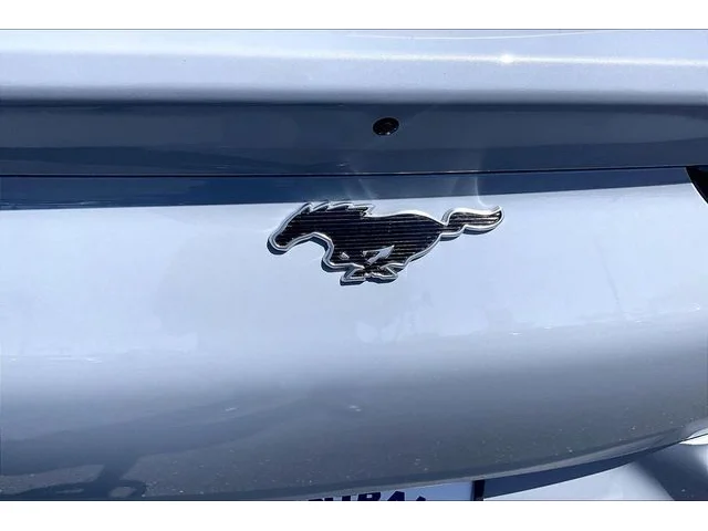 Nuevos FORD MUSTANG MACH-E à Estados chez autogozo