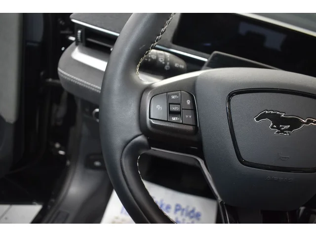 SEMINUEVOS FORD Mustang Mach-E a Estados en autogozo