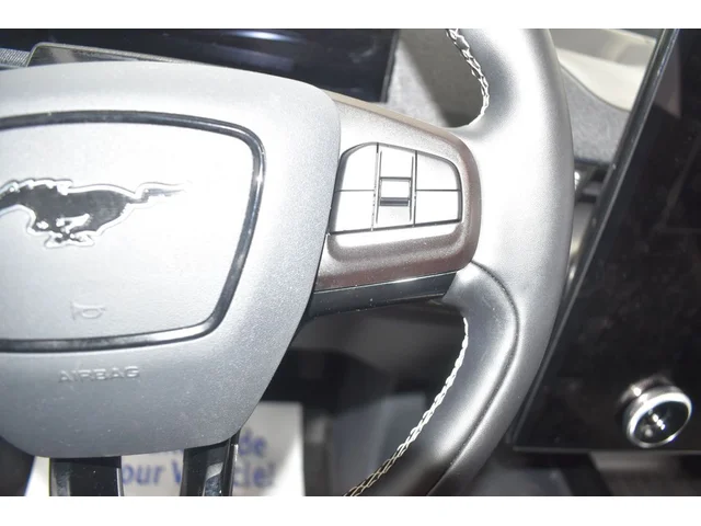 SEMINUEVOS FORD Mustang Mach-E a Estados en autogozo