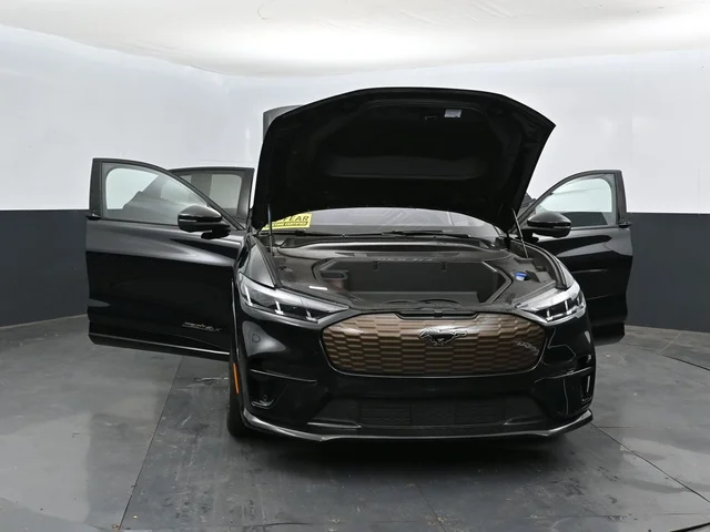 SEMINUEVOS FORD Mustang Mach-E a Estados en autogozo