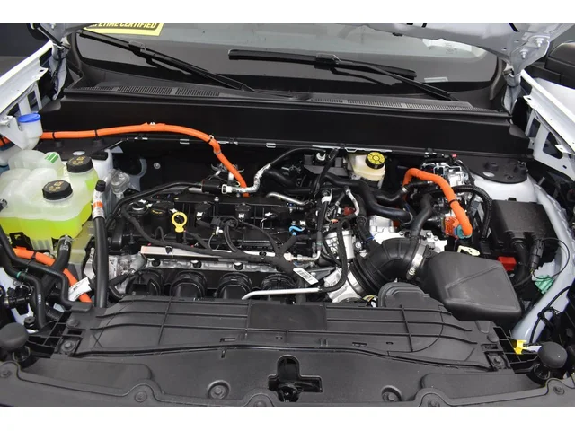 Nuevos FORD MAVERICK à Estados chez autogozo