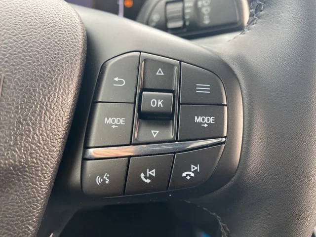 Nuevos FORD MAVERICK à Estados chez autogozo