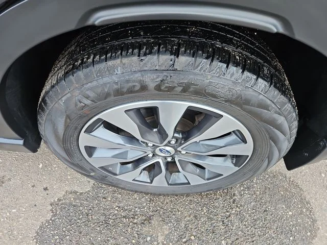 SEMINUEVOS SUBARU Outback a Estados en autogozo