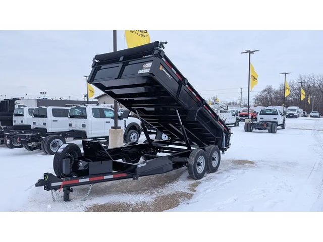 Nuevos BELMONT DTL8114-14K à Estados chez autogozo