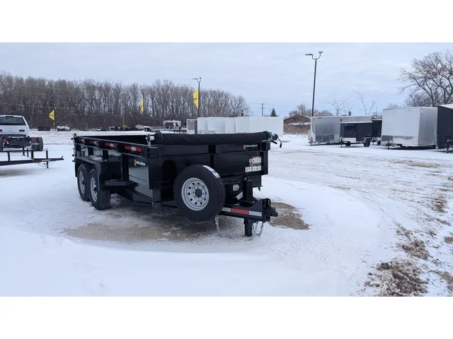 Nuevos BELMONT DTL8114-14K à Estados chez autogozo