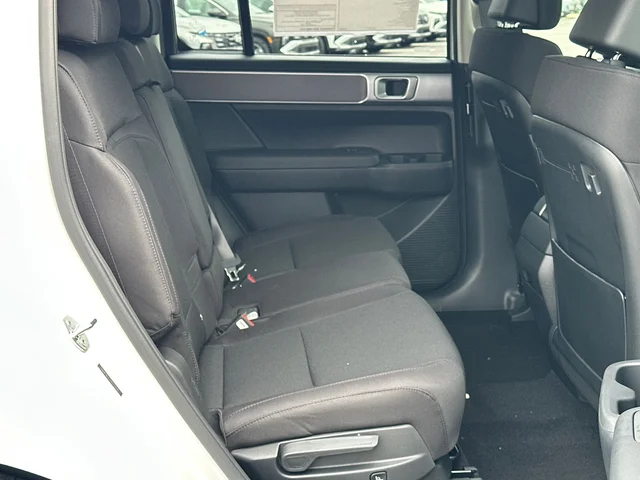 Nuevos HYUNDAI SANTA FE à Estados chez autogozo