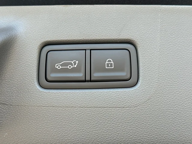 Nuevos HYUNDAI SANTA FE HYBRID à Estados chez autogozo