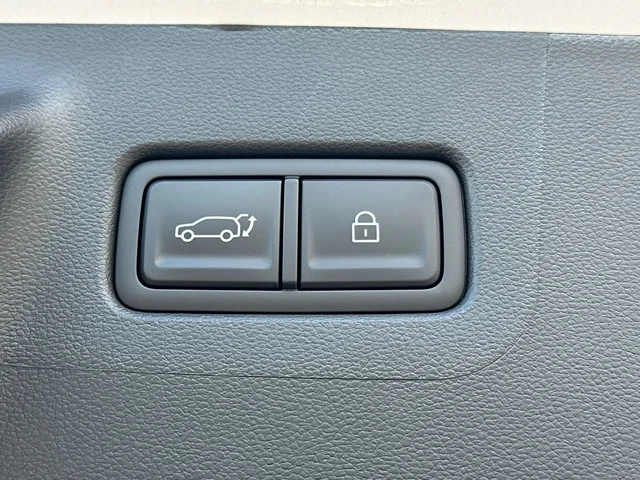 Nuevos HYUNDAI SANTA FE HYBRID à Estados chez autogozo