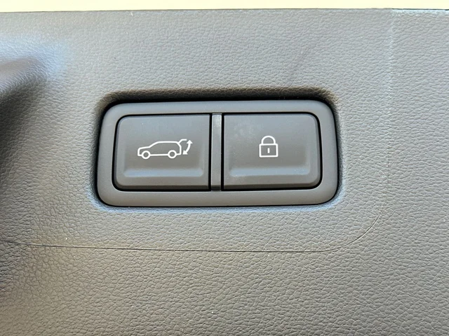 Nuevos HYUNDAI SANTA FE HYBRID à Estados chez autogozo