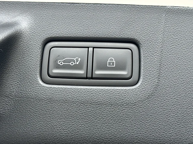 Nuevos HYUNDAI SANTA FE HYBRID à Estados chez autogozo