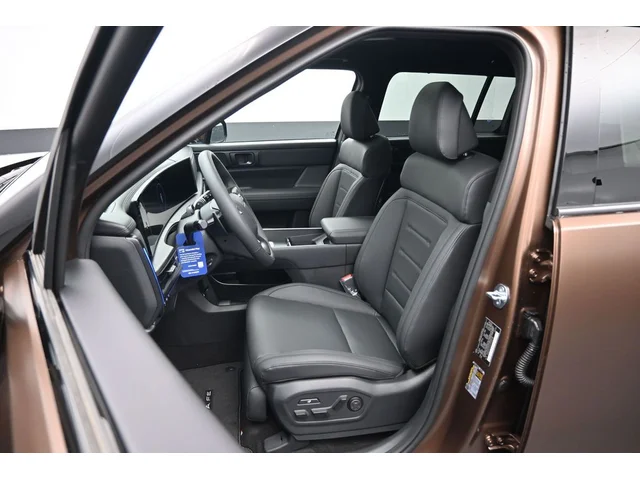 Nuevos HYUNDAI SANTA FE HYBRID à Estados chez autogozo