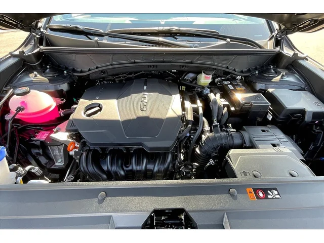 Nuevos HYUNDAI SANTA CRUZ à Estados chez autogozo