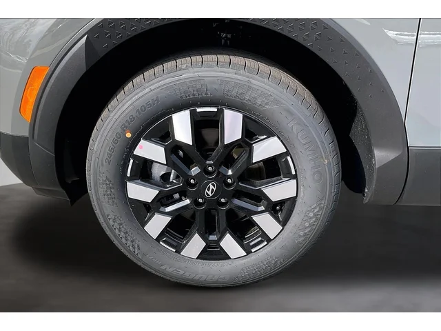 Nuevos HYUNDAI SANTA CRUZ à Estados chez autogozo