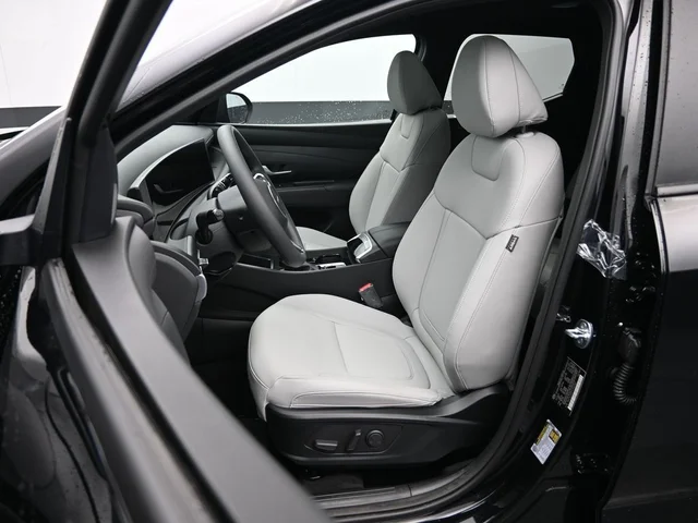 Nuevos HYUNDAI SANTA CRUZ à Estados chez autogozo