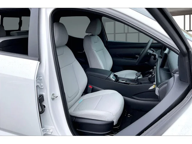 Nuevos HYUNDAI SANTA CRUZ à Estados chez autogozo