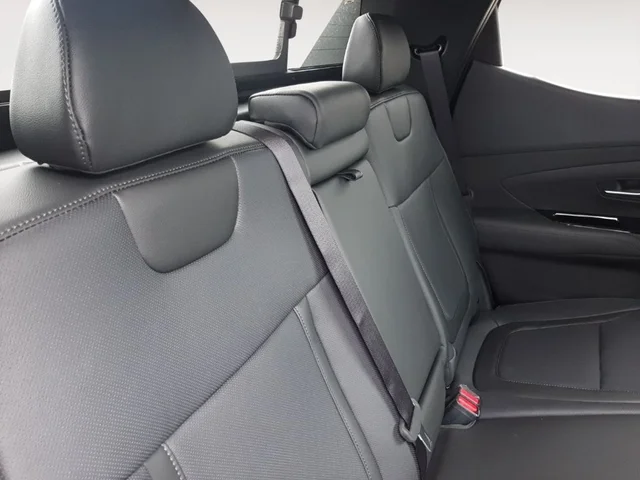 Nuevos HYUNDAI SANTA CRUZ à Estados chez autogozo
