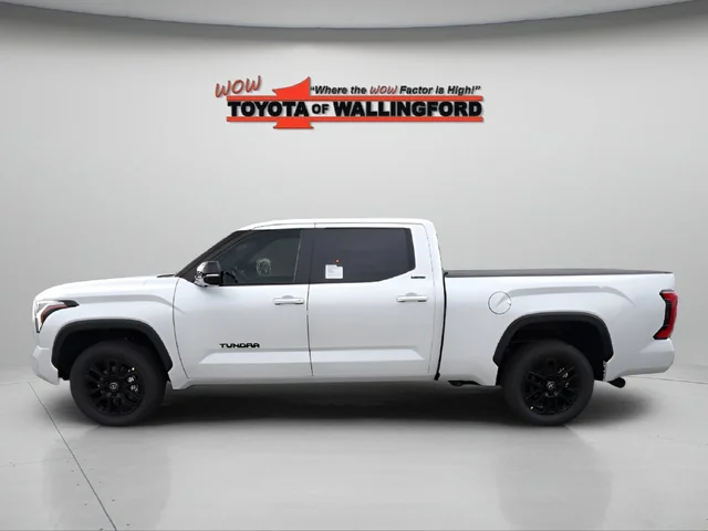 Nuevos TOYOTA TUNDRA à Estados chez autogozo