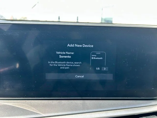 SEMINUEVOS KIA Sorento a Estados en autogozo