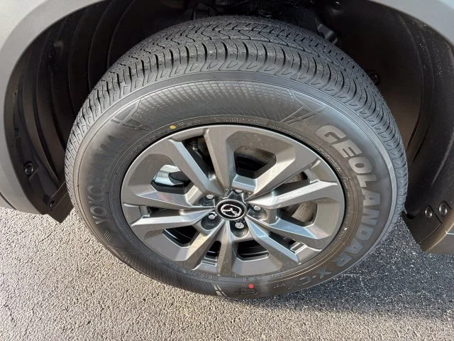 Nuevos MAZDA CX-5 à Estados chez autogozo
